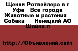 Щенки Ротвейлера в г.Уфа - Все города Животные и растения » Собаки   . Ненецкий АО,Шойна п.